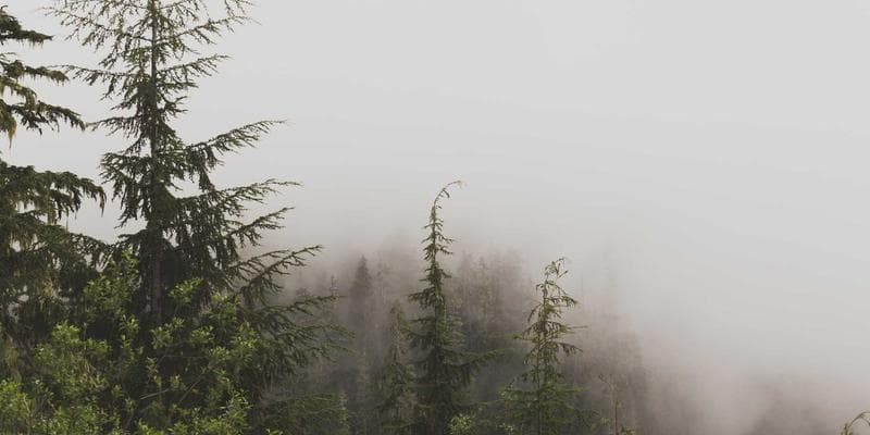 Cara Membangun Sistem "Digital Brain" Pribadi: 7 Langkah untuk Mengelola Informasi dan Ide Tanpa Stres